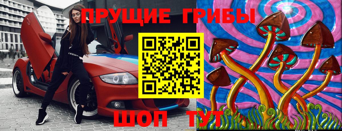 Псилоцибиновые грибы Psilocybe  где можно купить наркотик  Елец  Вход с VPN 